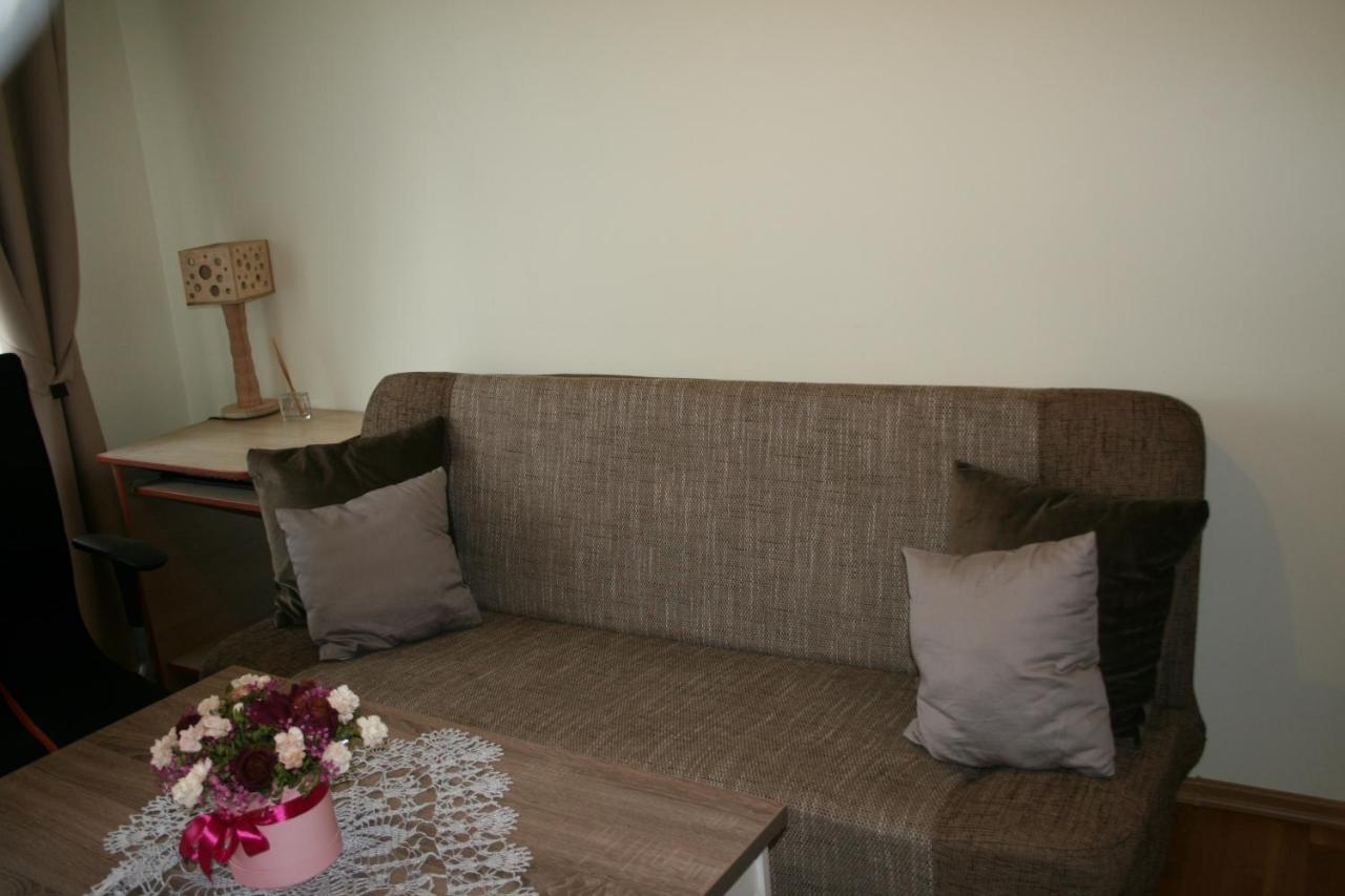 Cosy One Room Apartment Vilnius Exterior foto